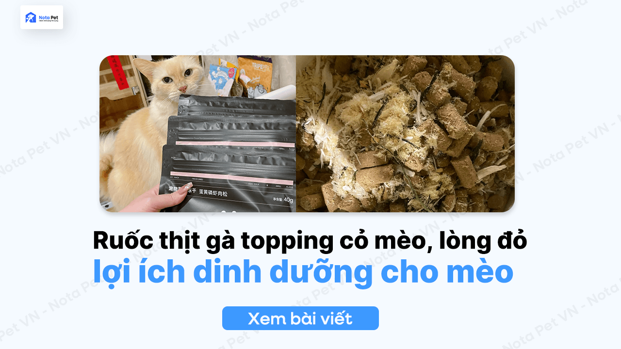 Ruốc thịt gà topping cỏ mèo, lòng đỏ trứng, dành cho mèo có lợi ích gì?