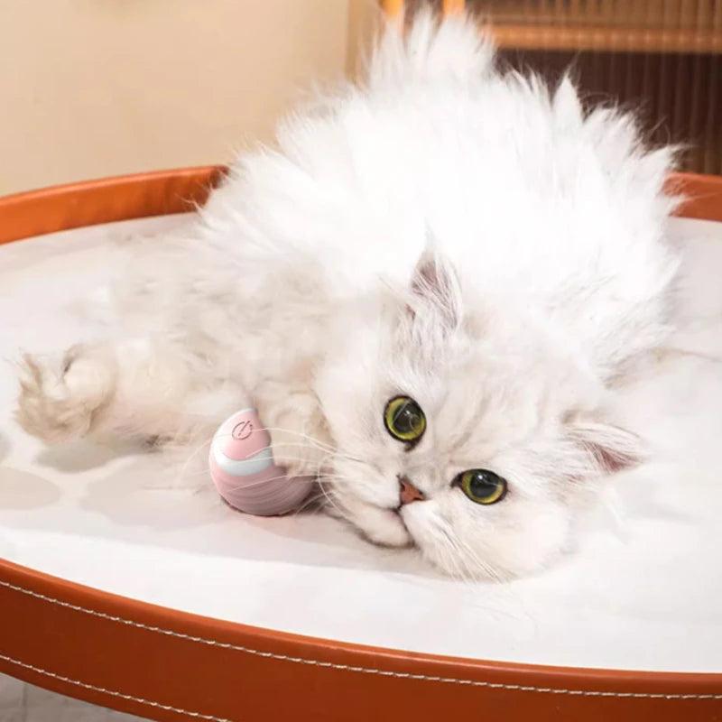 Smart Interactive Rolling Ball - The Purrfect Exercise Toy for Playful Cats! 🐱