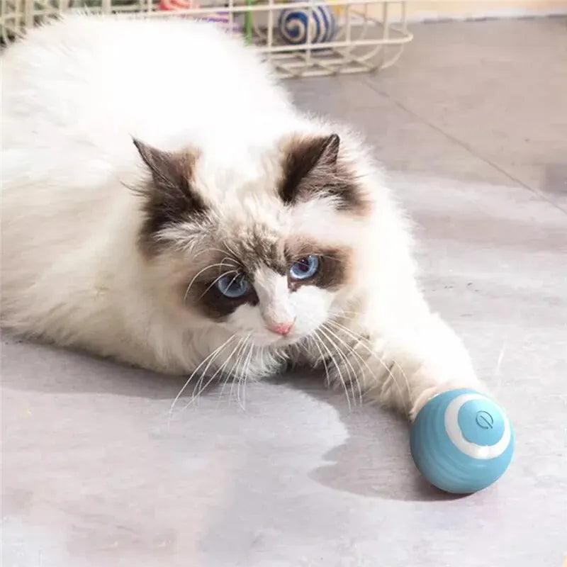 Smart Interactive Rolling Ball - The Purrfect Exercise Toy for Playful Cats! 🐱