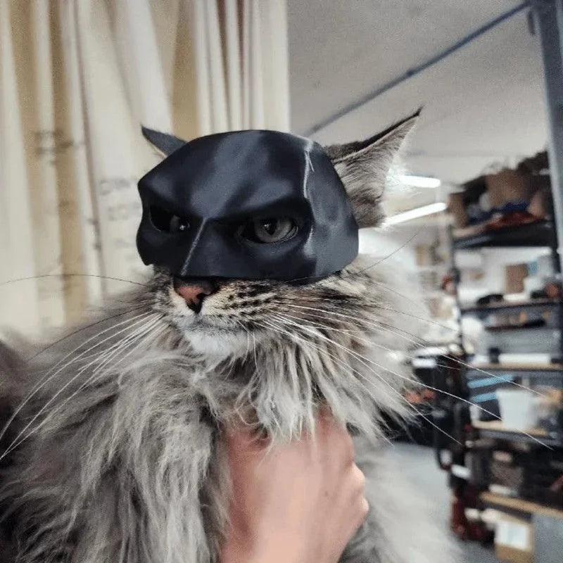 Halloween Black Bat Cat Avenger Mask Cosplay Hat Cat Funny Toys Cool  Superhero Cat Masks Pet Supplies Photos Props