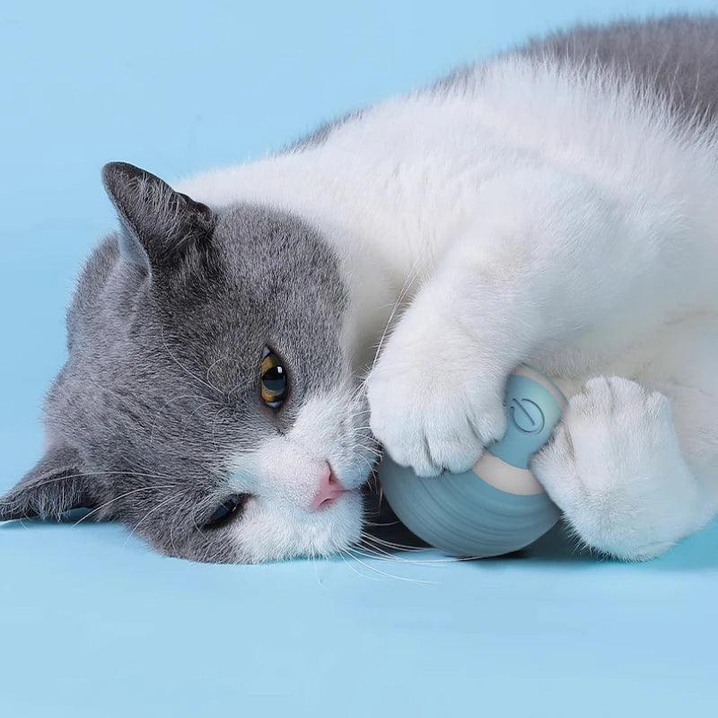 Smart Interactive Rolling Ball - The Purrfect Exercise Toy for Playful Cats! 🐱