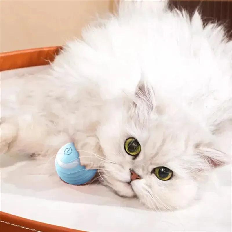 Smart Interactive Rolling Ball - The Purrfect Exercise Toy for Playful Cats! 🐱