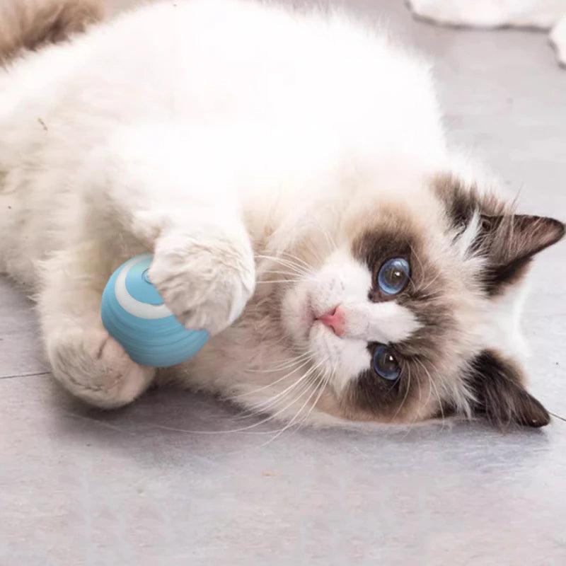 Smart Interactive Rolling Ball - The Purrfect Exercise Toy for Playful Cats! 🐱